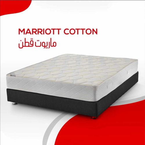 669ab27e-4fe6-4cf5-8542-4b83fcd762eb-1-e1734872081784.jpg